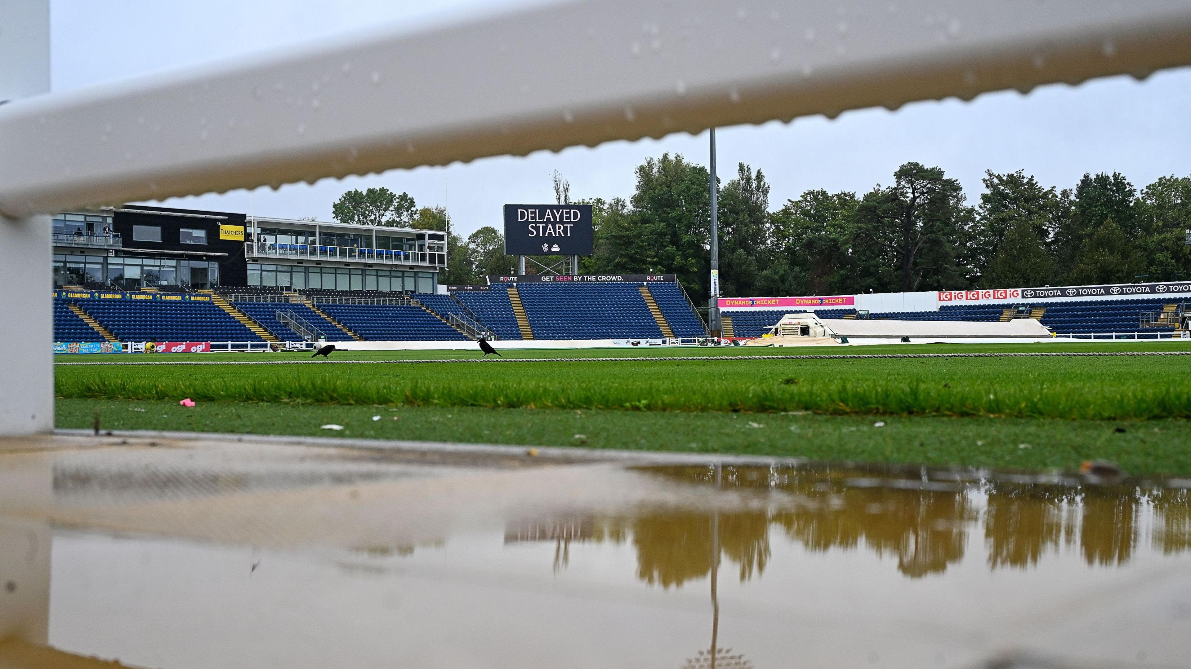 Rain halts Glamorgan vs Essex County Championship match ending in a draw