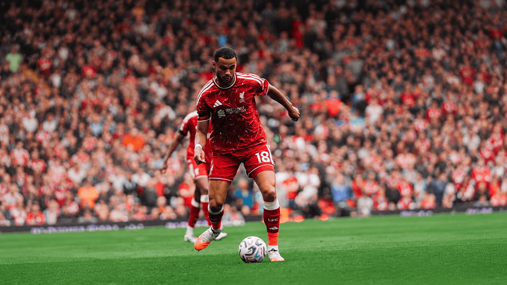 Liverpool Block Cody Gakpo Move To Manchester City